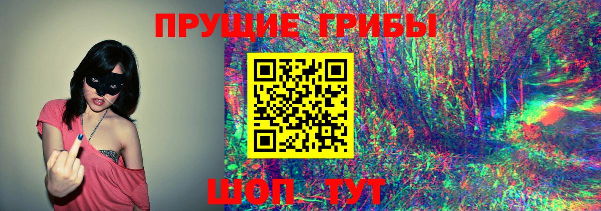 Псилоцибиновые грибы MAGIC MUSHROOMS Вологда