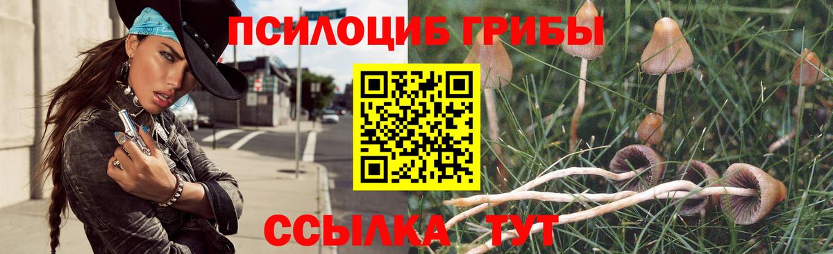 Вологда  Галлюциногенные грибы Psilocybe  Вход с VPN  Галлюциногенные грибы Psilocybe 